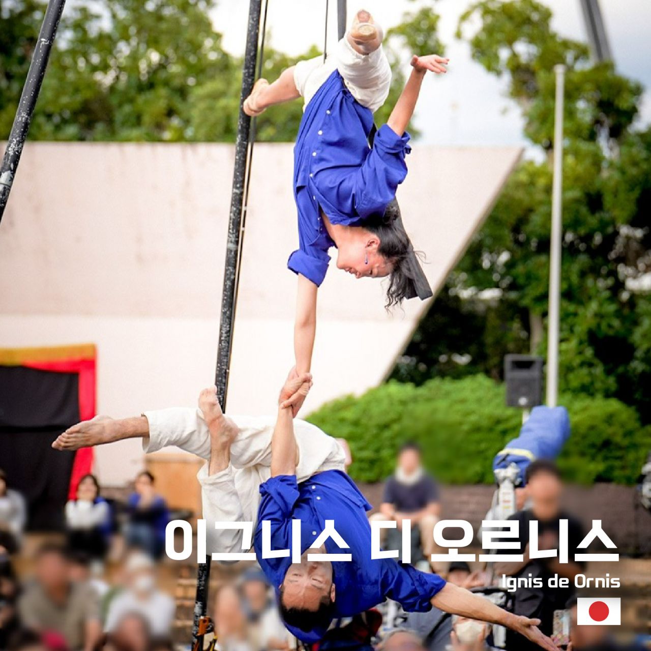 이그니스 데 오르니스 Image